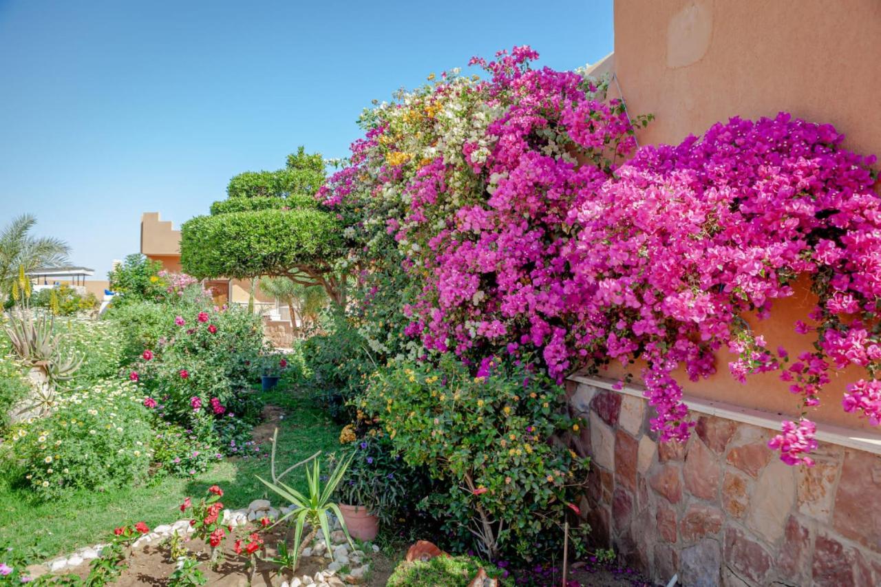 Silver Beach Redsea Resort El Qoseir Exterior foto